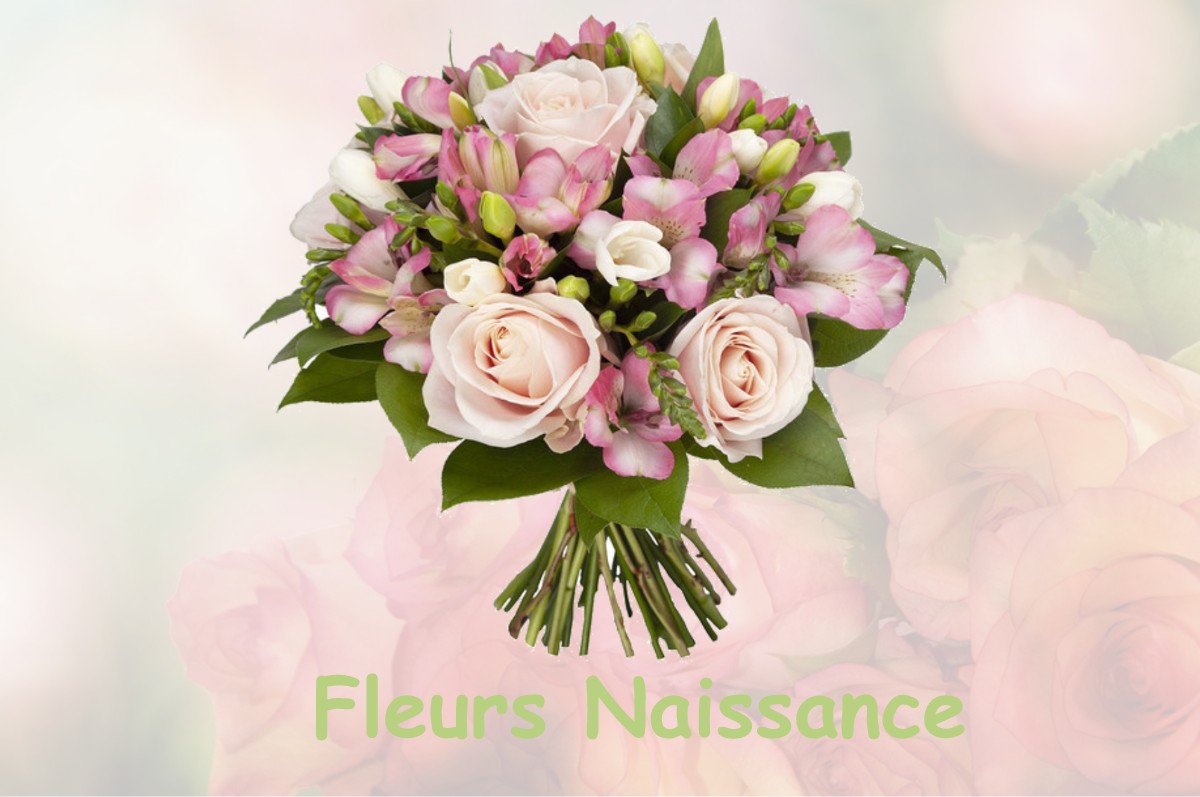 fleurs naissance SAINT-PARDOUX-LA-CROISILLE